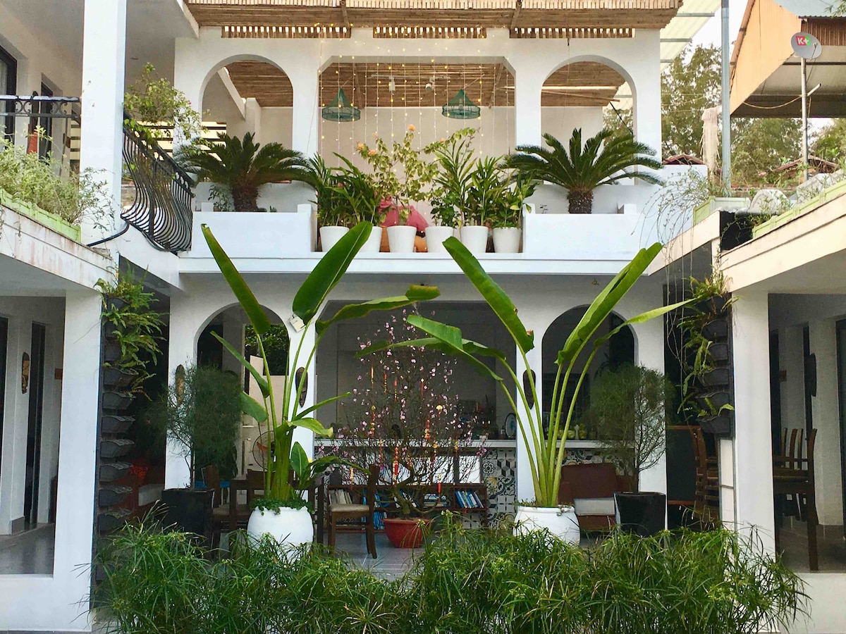 A welcoming courtyard is filled with lush greenery, featuring large potted plants and decorative lighting. Surrounding spaces include comfortable seating areas, and an open bar area, which is complemented by the clean architectural lines of the surrounding structures.