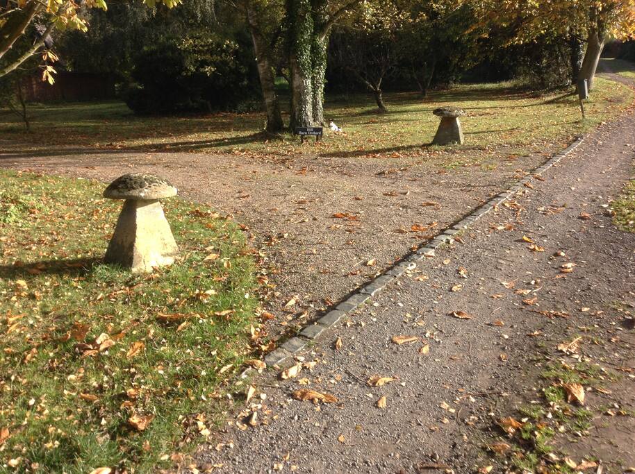 Follow straight down the drive until you reach Hill Barn Orchard