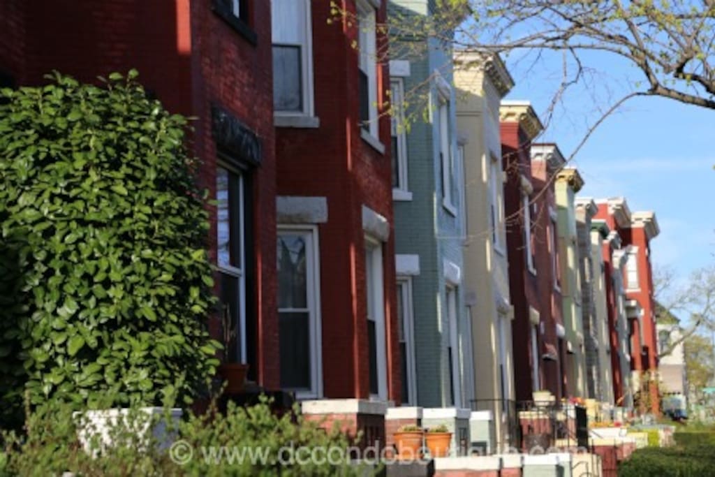 M St Apartments Washington Dc M St Apartments Washington Dc
