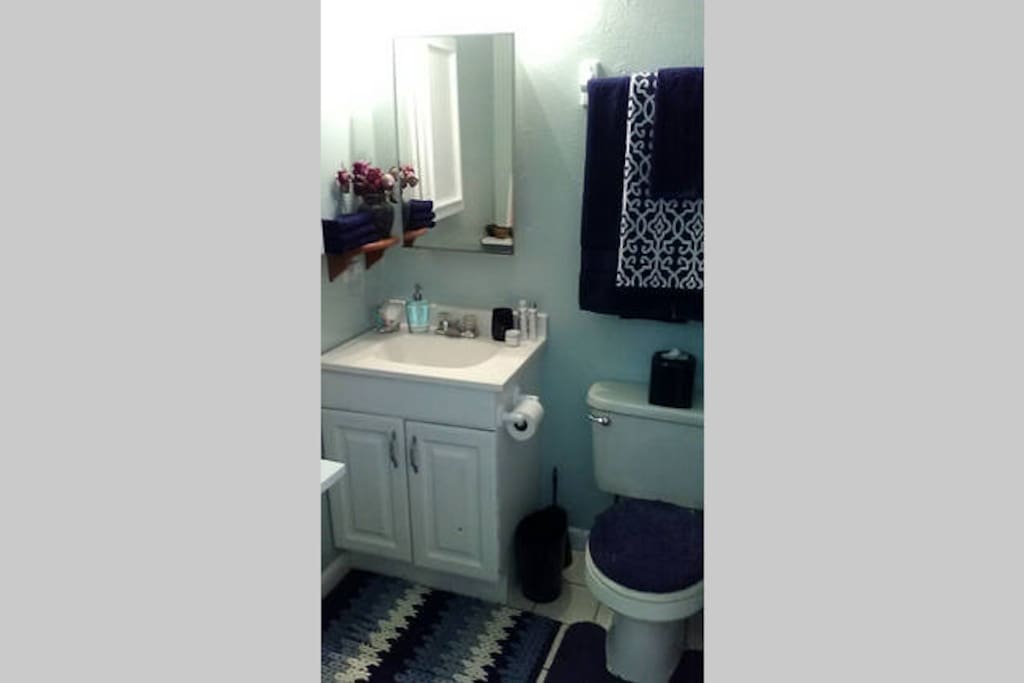 Shared bathroom between you and other airbnb guests