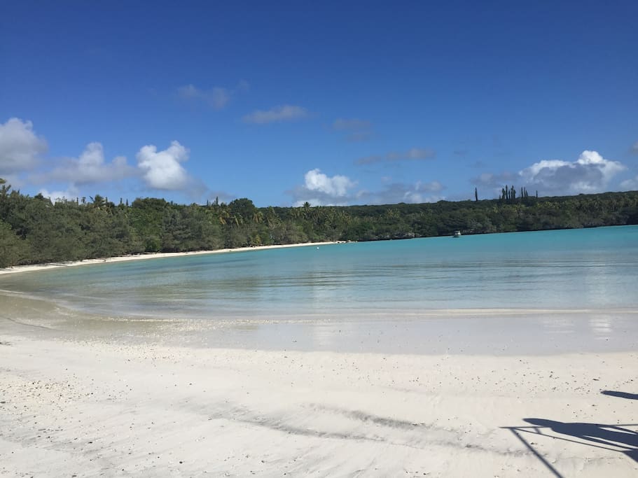 Magnifique plage privative juste pour vous ! Idéal pour un pique nique les pieds dans l'eau !