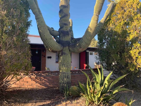 Cozy with mountain views