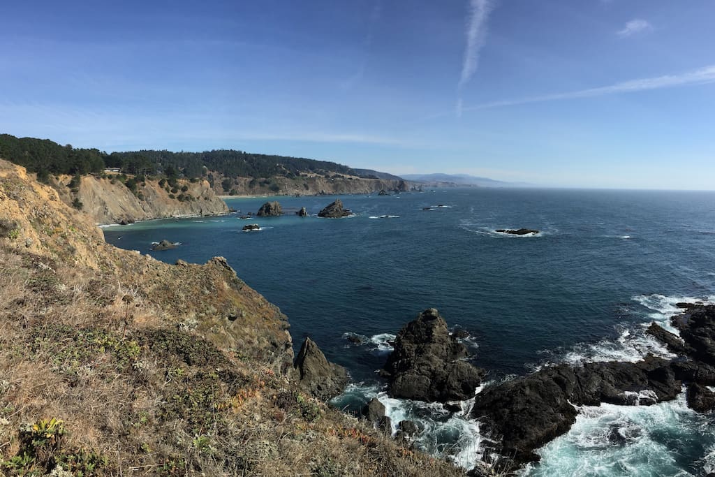 Looking north from the Navarro Point trail.