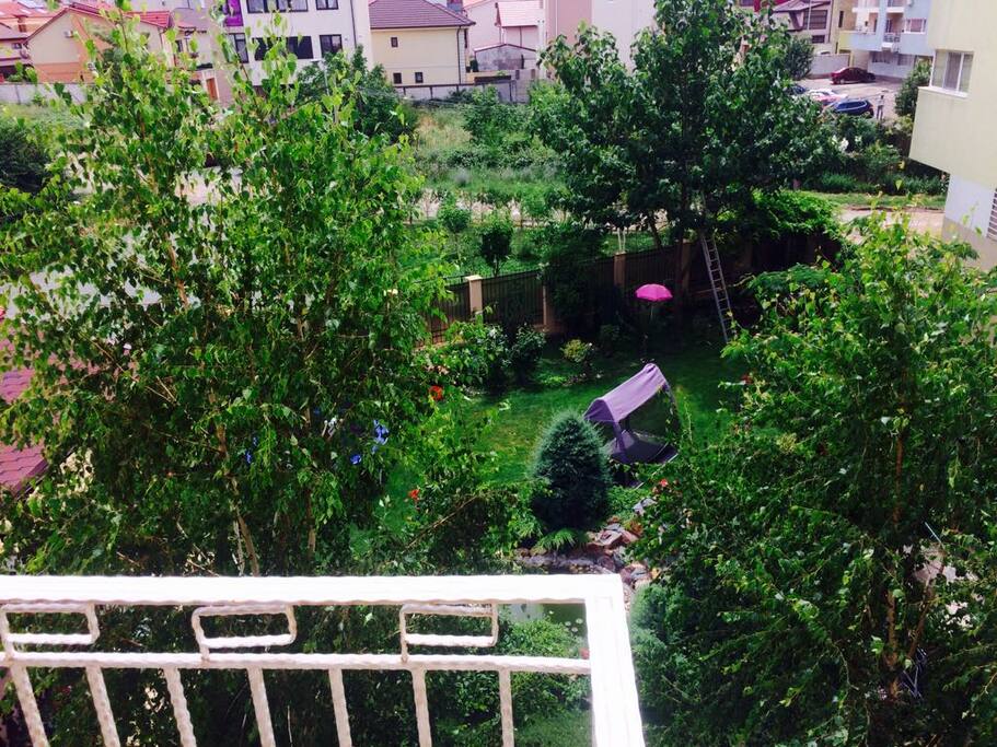 Terrace view