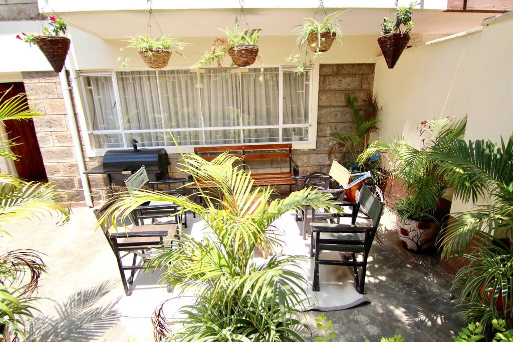 sunny backyard