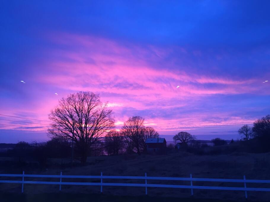 View from the garden.