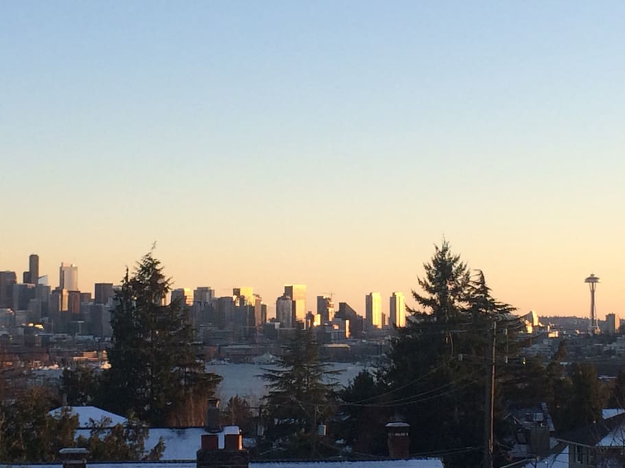 View of city and Lake Union from rooftop deck