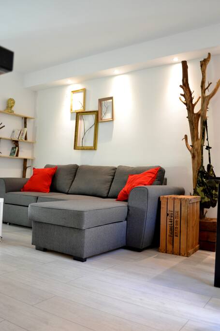 Le salon et séparé de la chambre et le canapé est convertible