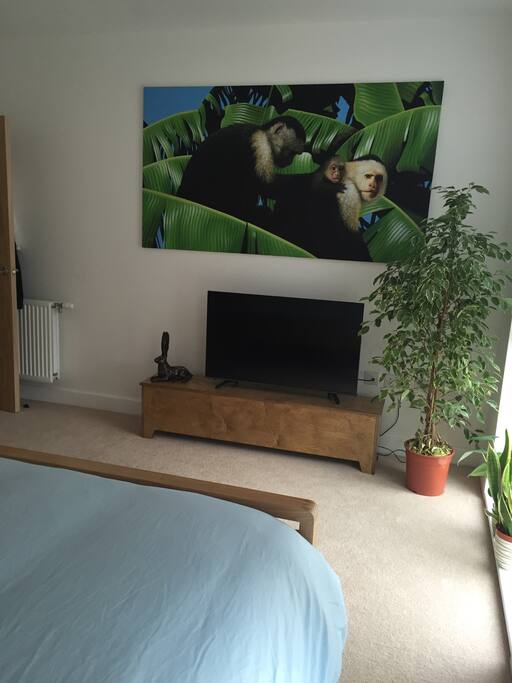 Minimalist decor for maximum relaxation