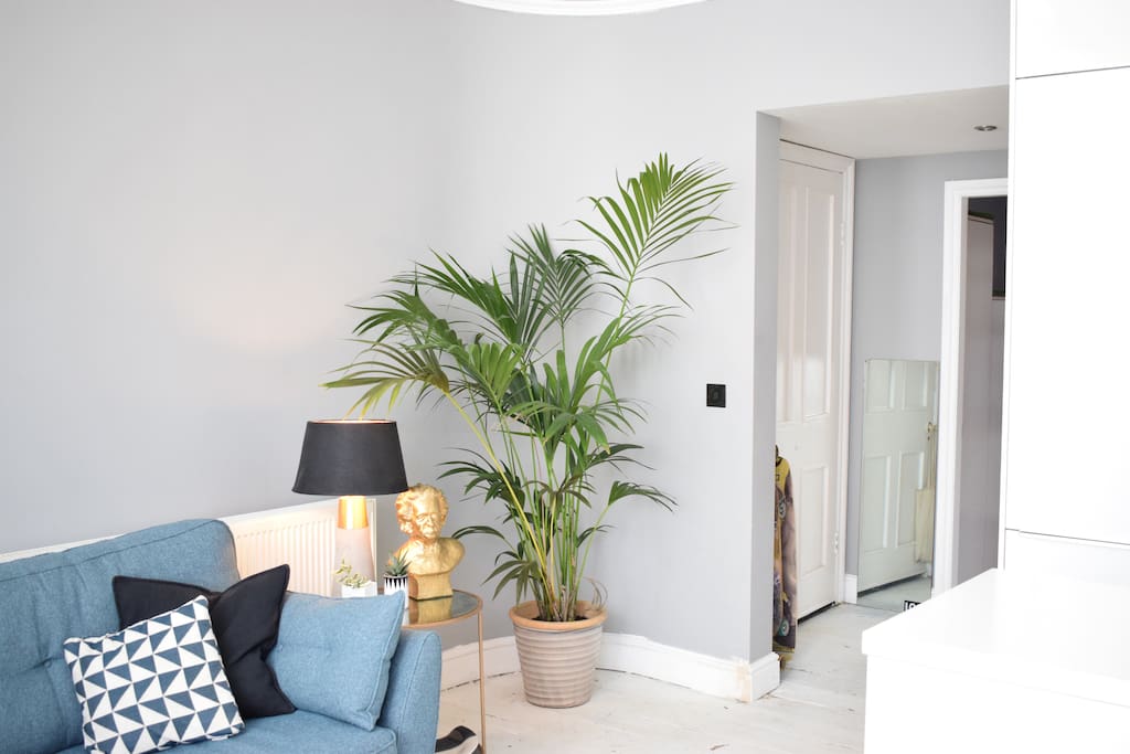 Our comfy sofa, and our golden Einstein. Please do water our plants if you get the chance :)