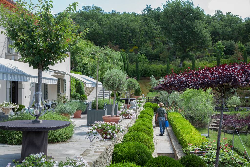 Terrace and garden