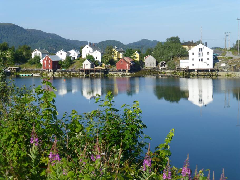 Idyllic setting. This is the view from our house!