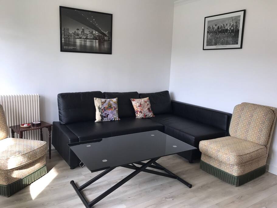 Salon avec une méridienne convertible en un lit double - the living room with a convertible sofa (2 beds)