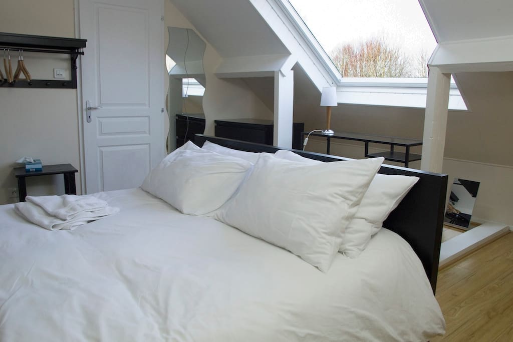 upstairs bedroom with bay biew from roof window