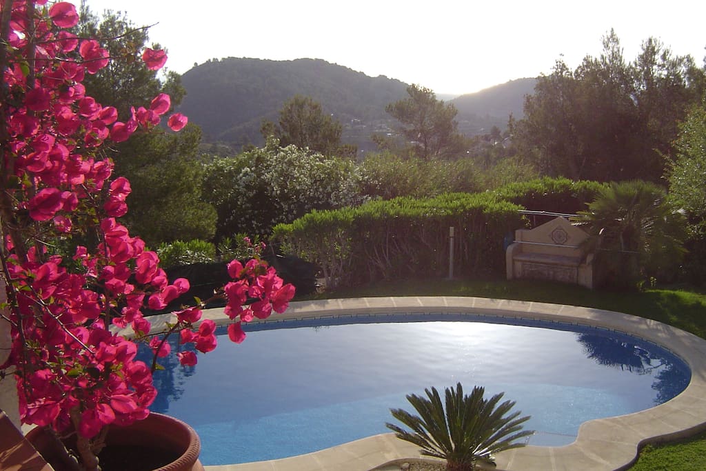 Piscine privée, vue depuis la terrasse