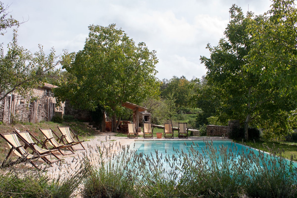 An inviting infinity pool is set within a serene outdoor space, surrounded by greenery and partial shade from large trees. Several sun loungers are arranged neatly around the pool, providing ample seating for relaxation. Soft grasses and lavender complete the natural ambiance.