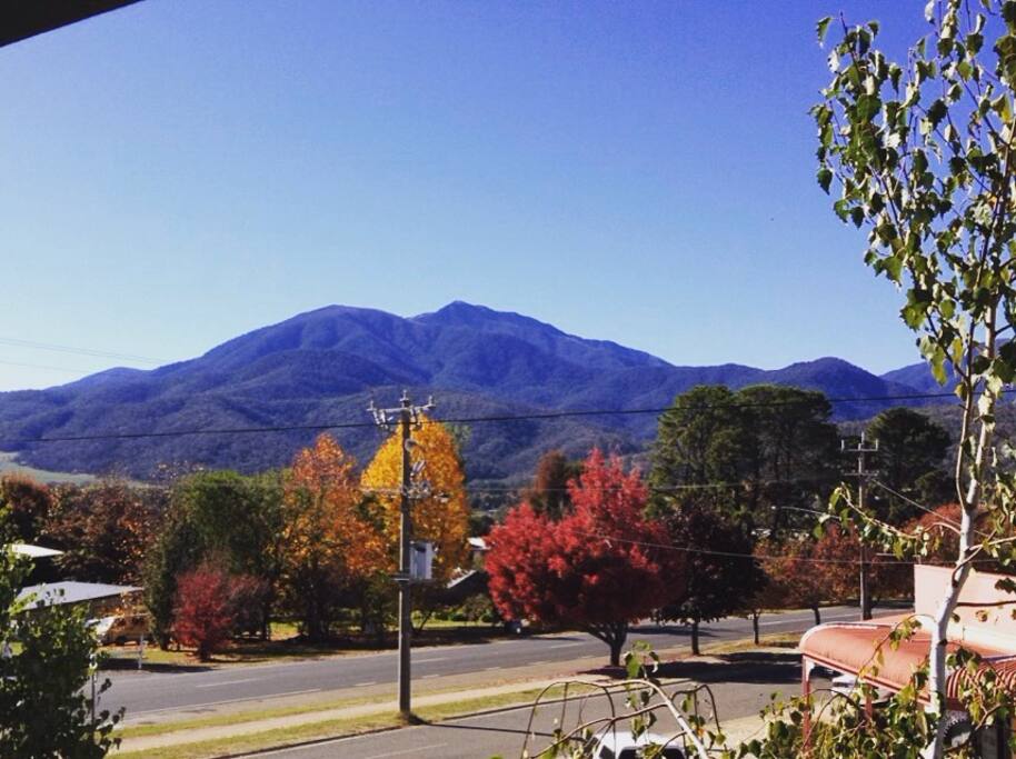 View from the balcony in Autumn