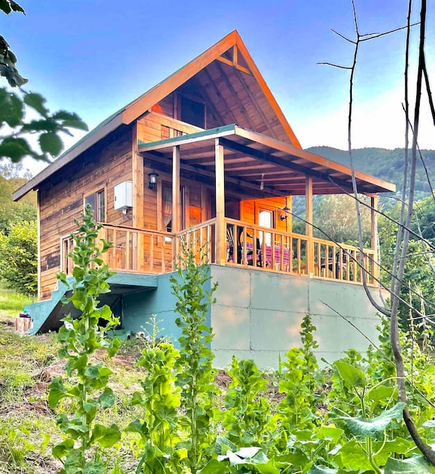 Düzce Efteni Dağ Evi Bungalow / Chalet Düzce Merkez şehrinde