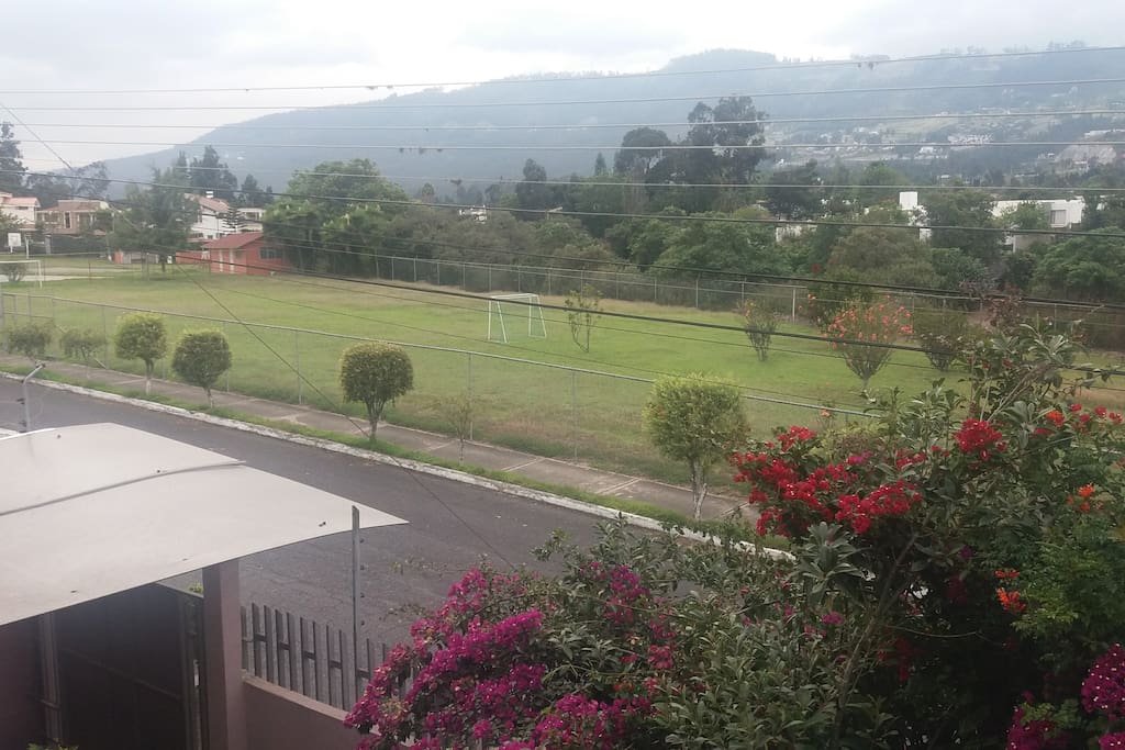 View of the park