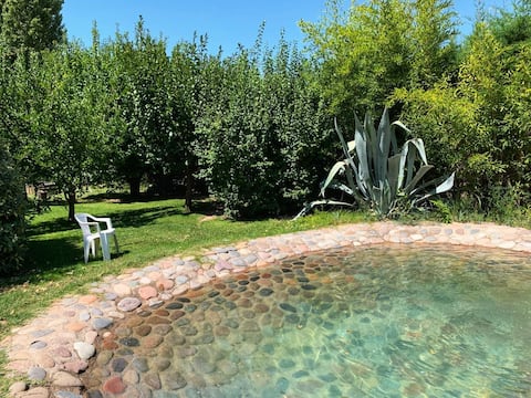 Beautiful studio for three on the Wine Route