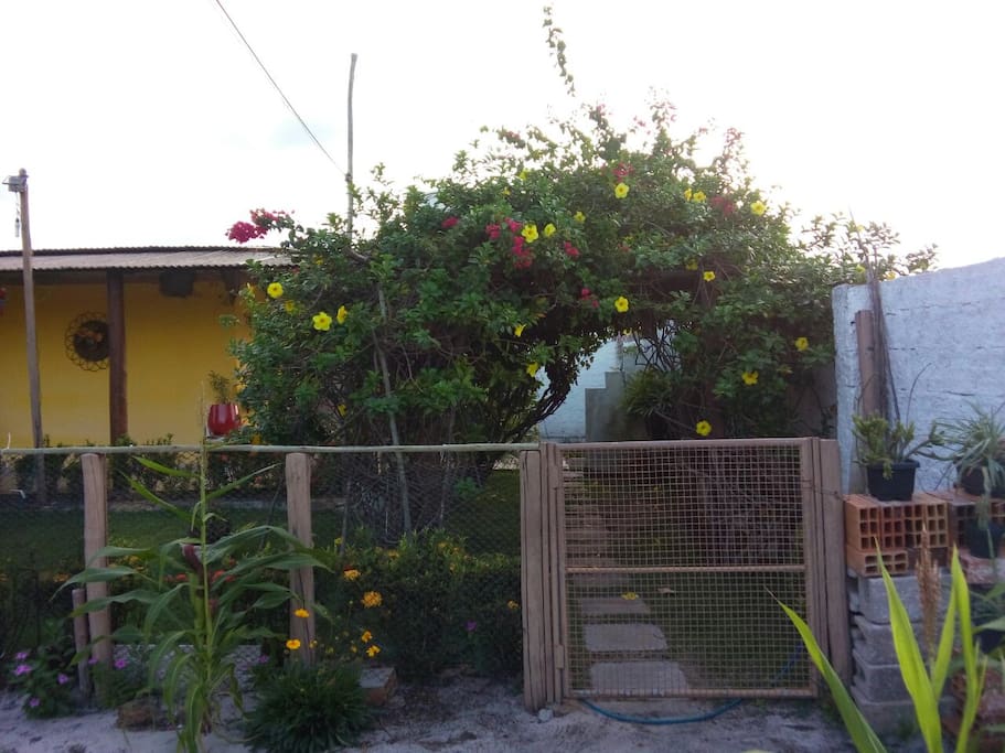 garden - jardim