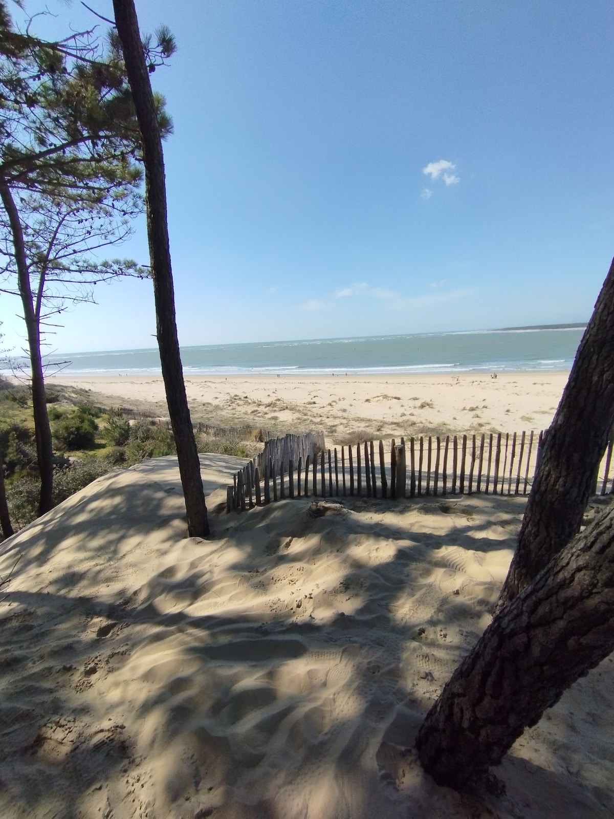 A sandy area is visible, framed by tall trees, leading to the beach. A wooden fence marks the edge of the path towards the shore. The open sea stretches out in the background under a clear blue sky, creating a serene coastal setting.