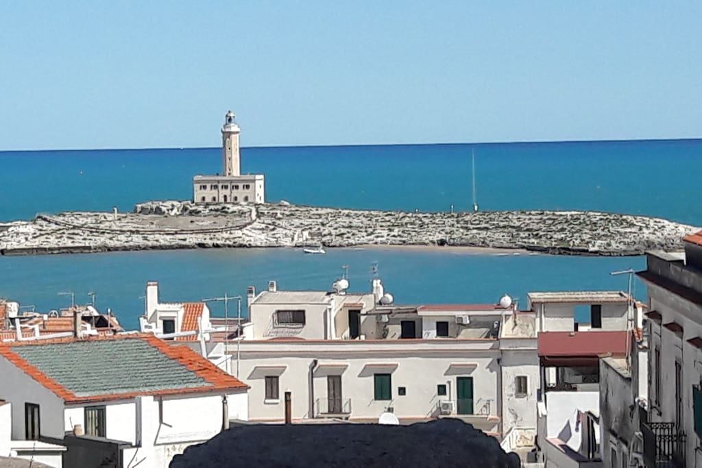 Panoramica del Faro