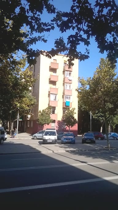 Fronte del Palazzo