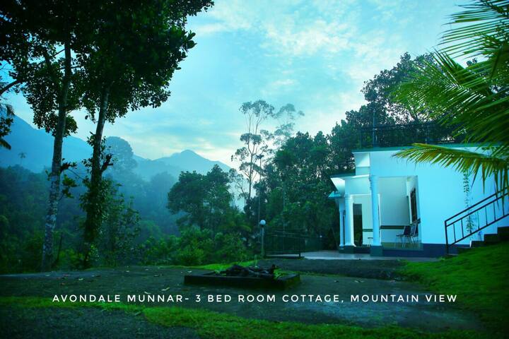 Avondale Luxury Cottages