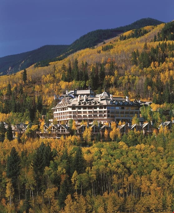 Welcome to The Pines Lodge