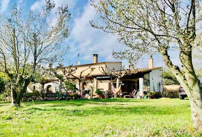 El Maset de Cap de Gall gallery image 3