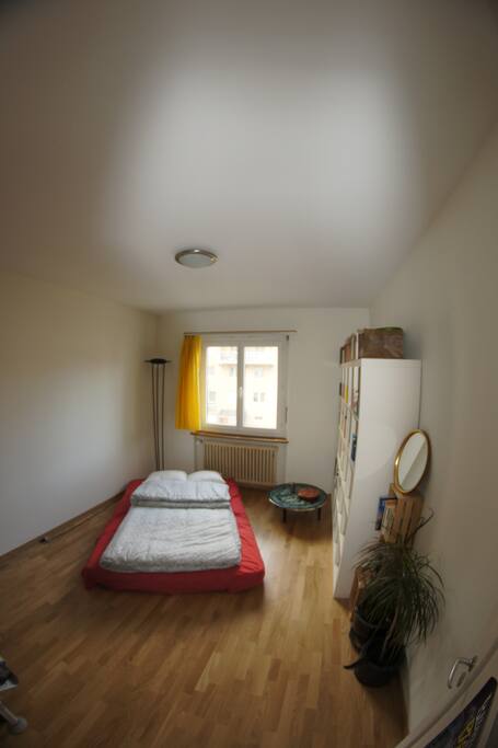 fresh painted walls and a new floor