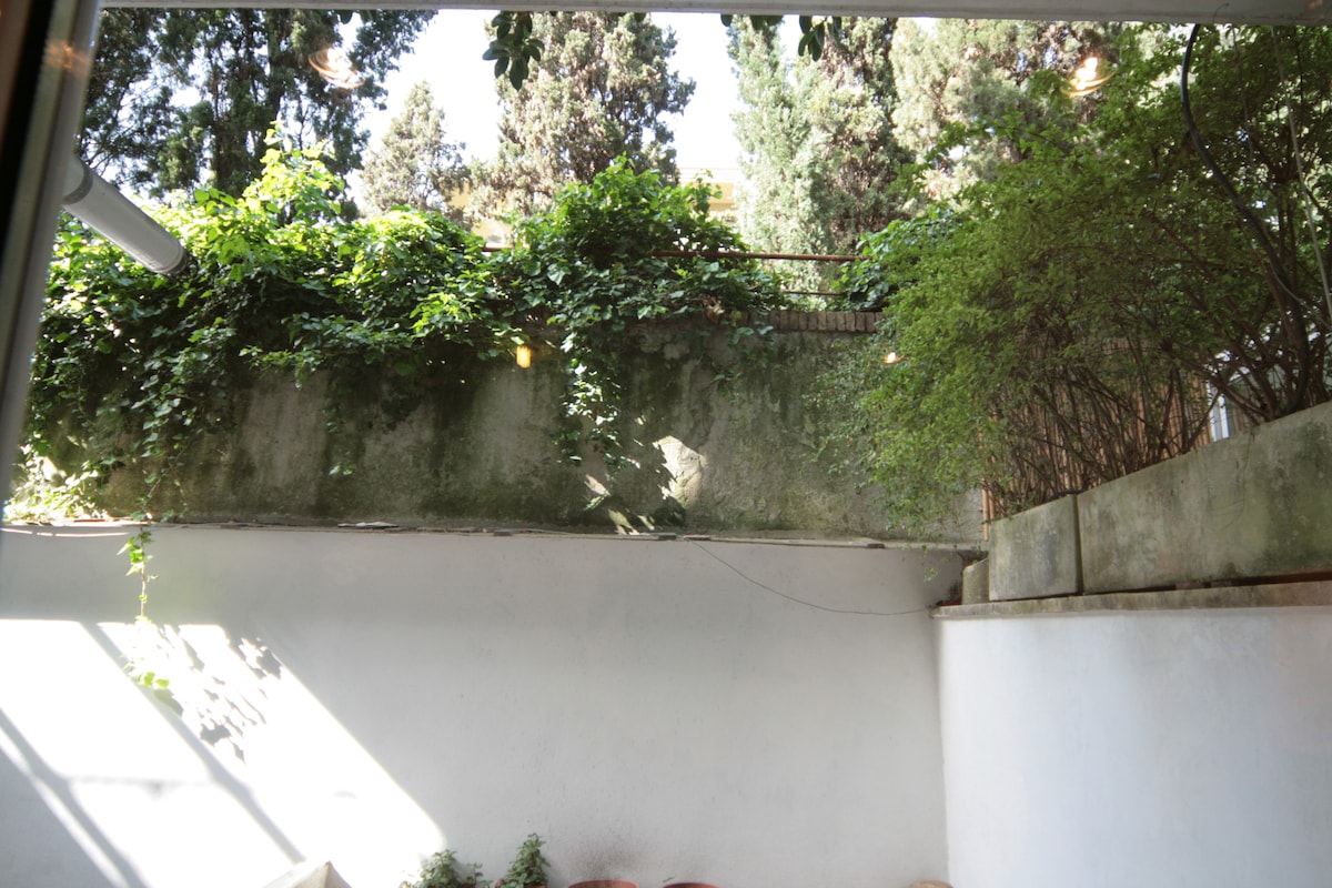 A view of a peaceful outdoor space is presented, featuring lush greenery and a wall partially covered with vines. Sunlight filters through, creating dappled patterns. The surrounding walls are simple and consist of a light-colored finish, contributing to a calm ambiance.