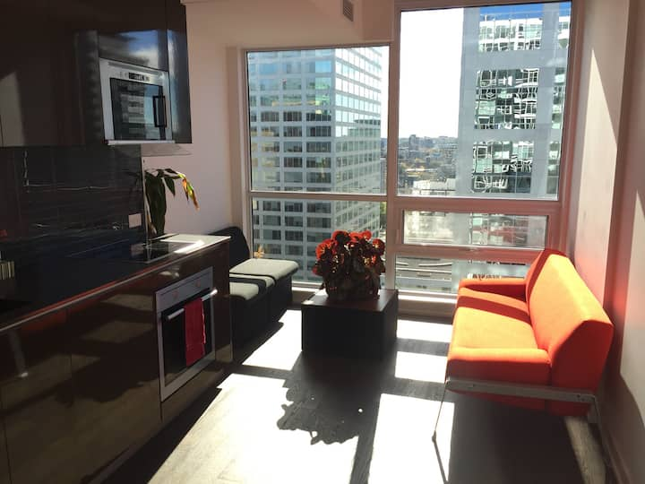 Modern Furnished Luxury studio❤️of Downtown Ottawa!