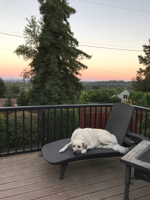 Back patio and Scarlett