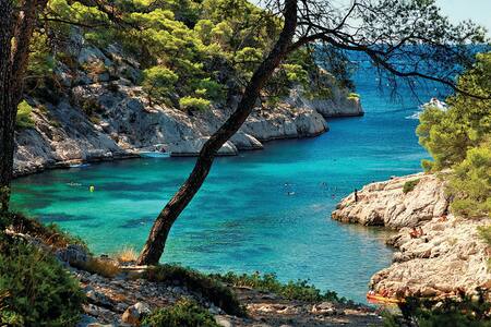 Au chant des cigalles sous les Pins