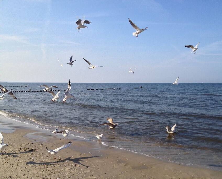 Strand Zempin