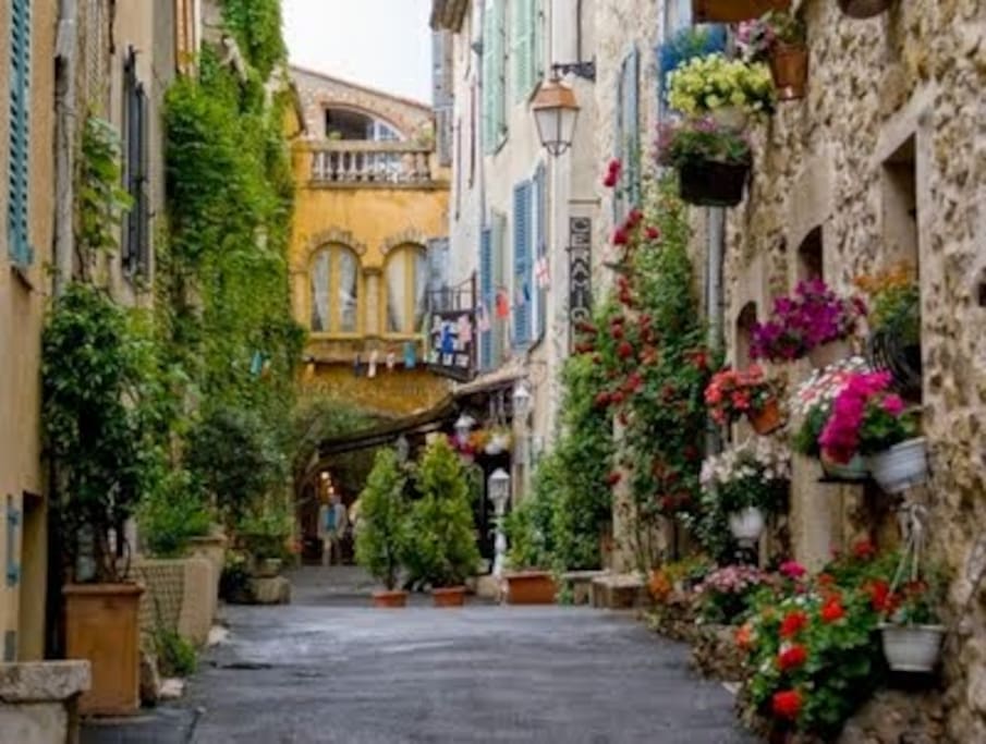 ses petites rues fleuries