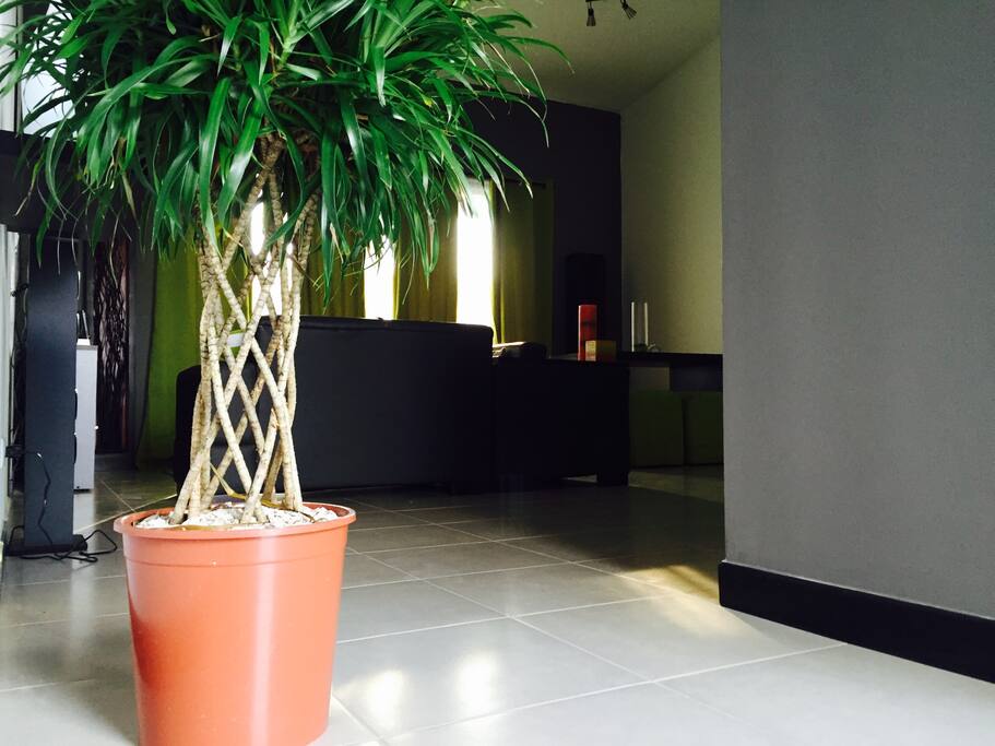 Lobby / Entrada