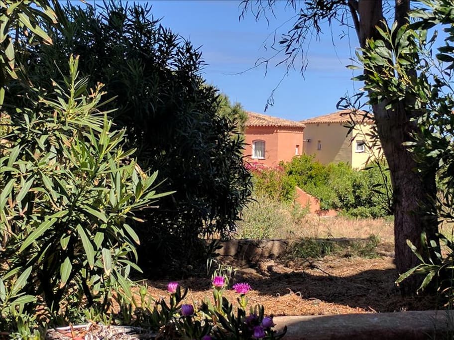 Lush Gardens And Sympathetic Architecture