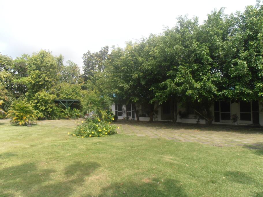 rodeado de la naturaleza