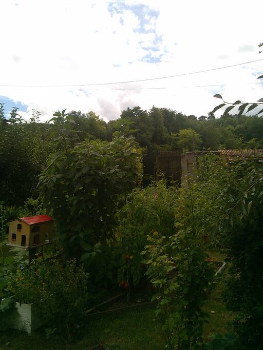 Vue du jardin et portillon d'entrée indépendant - vue from the garden and private entrance