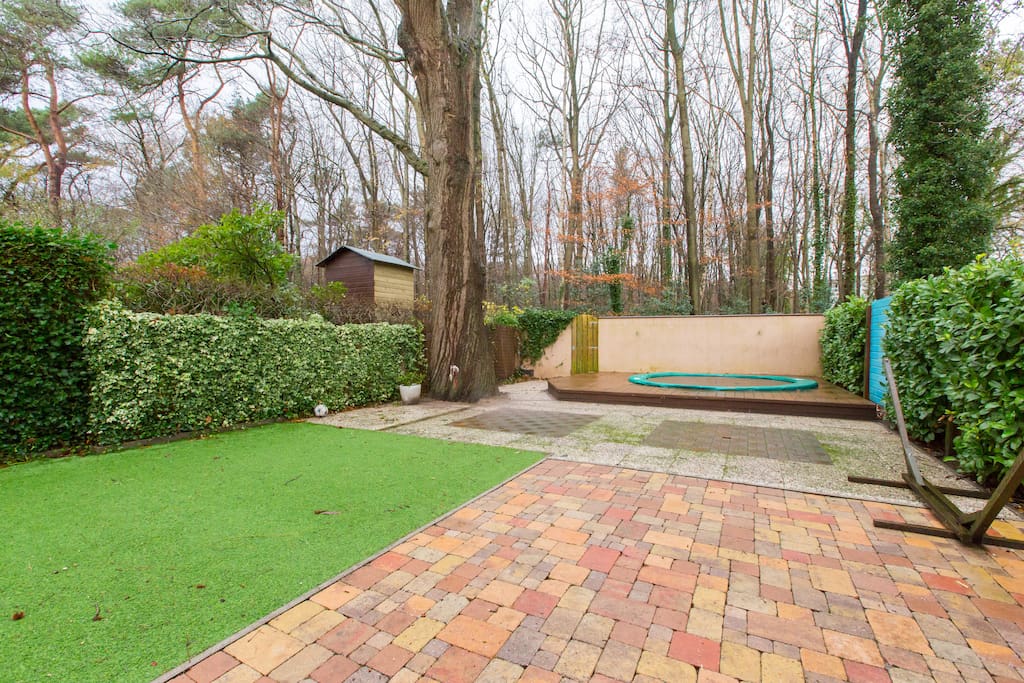 Backyard with lots of privacy