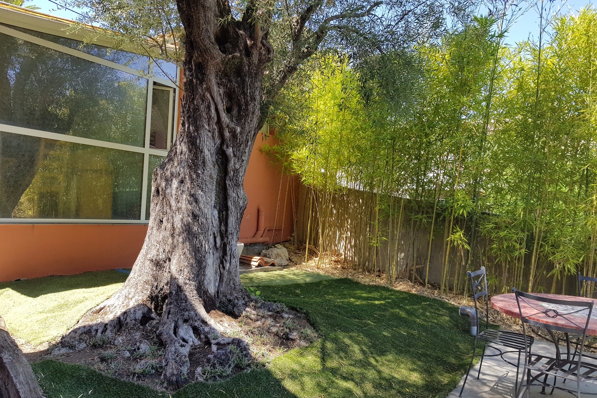 A spacious outdoor area is highlighted by a large olive tree, providing shade and a natural focal point. Lush green grass surrounds a circular table with several chairs, and tall bamboo offers a peaceful backdrop against a vibrant orange wall.