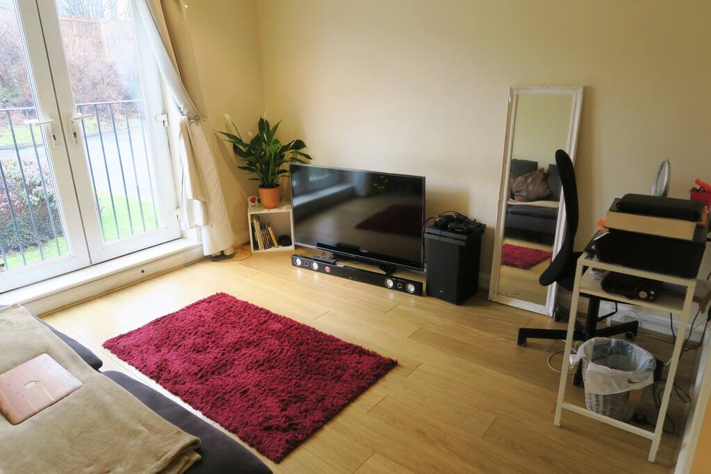 Large living space with sofa bed