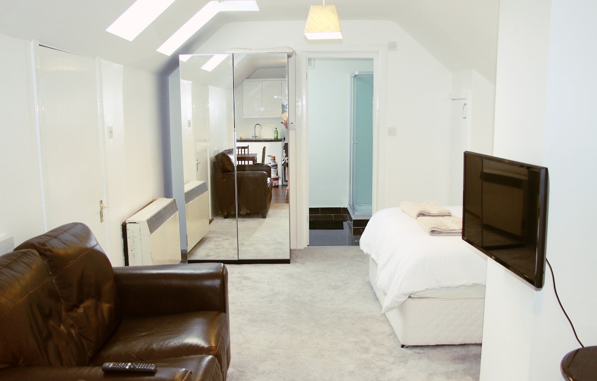 A bright studio space features a comfortable double bed with light bedding, a cozy couch, and a wall-mounted TV. Mirrored wardrobes reflect natural light, and a kitchenette is visible in the background. A private bathroom is accessed through a glass door.