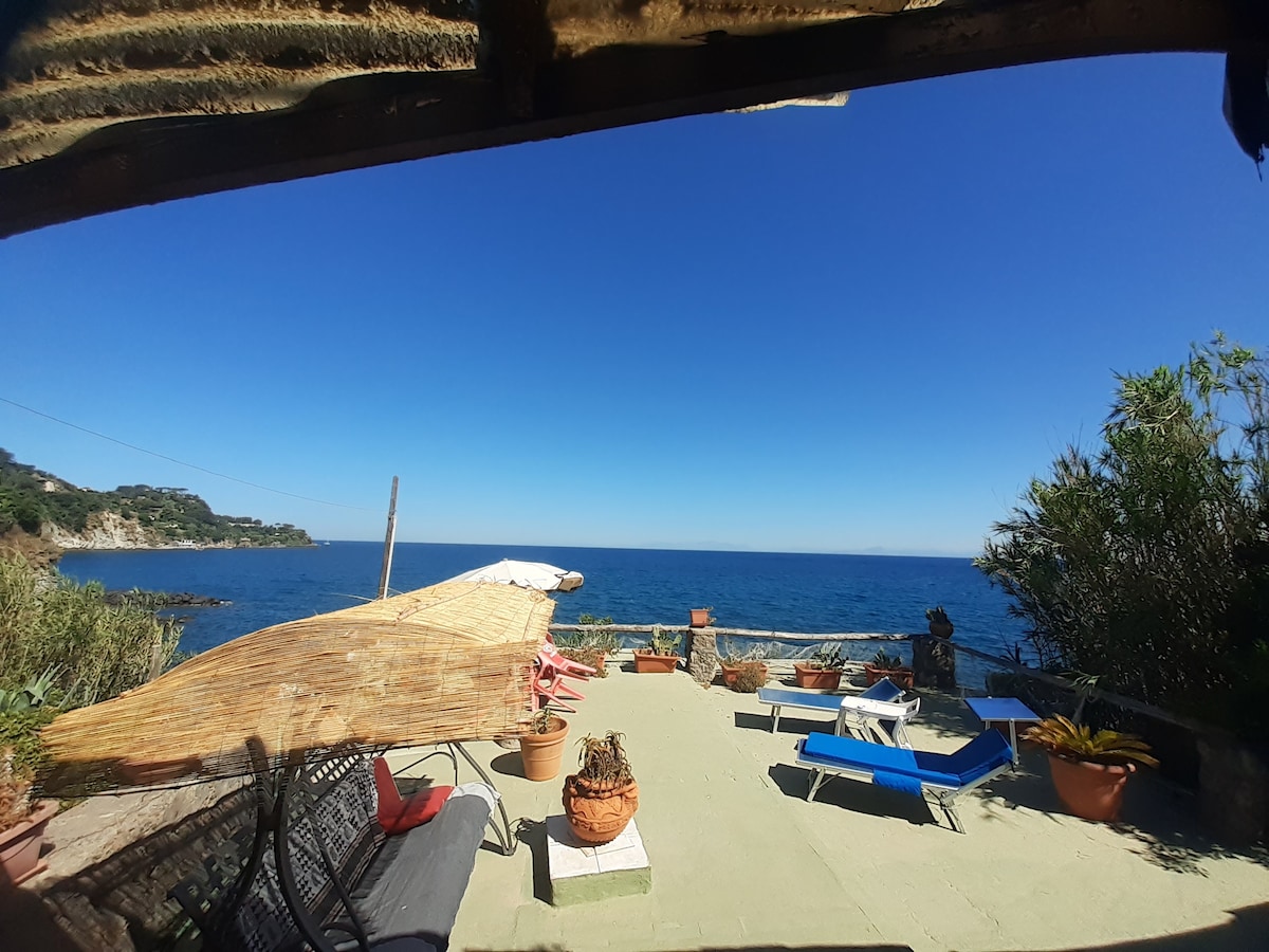 An outdoor terrace overlooks the sea, featuring a variety of seating options, including lounge chairs and a shaded area with a thatched roof. Potted plants and a coastal view contribute to the setting, highlighting a space for relaxation near the water.