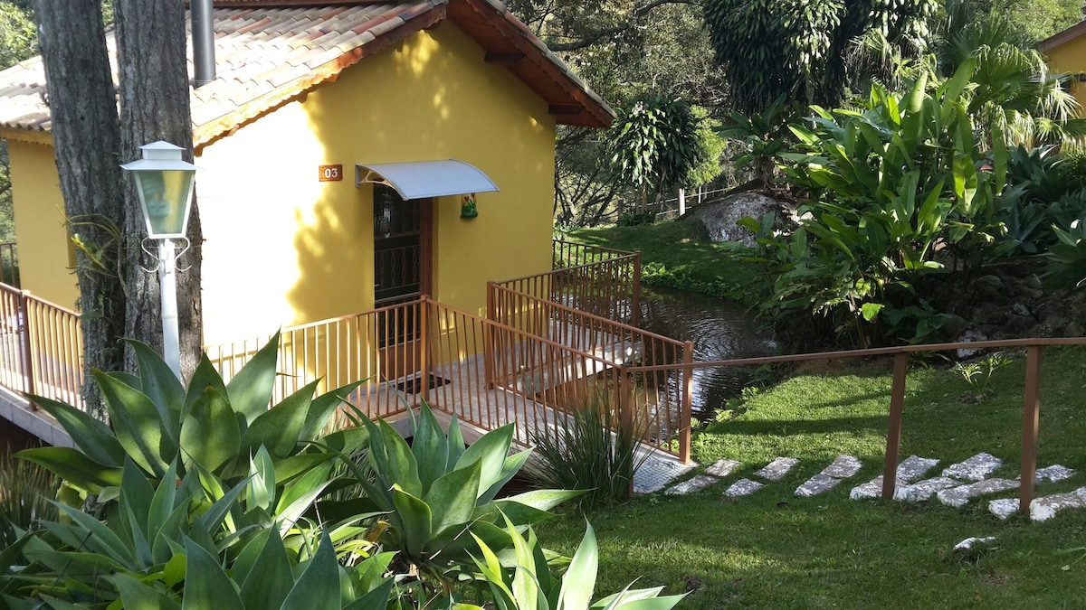 A charming yellow cabin is set amidst lush greenery, featuring a welcoming entrance with a small ramp and handrail. Stone steps lead to the cabin, surrounded by vibrant foliage and ornamental plants, creating a serene outdoor setting.