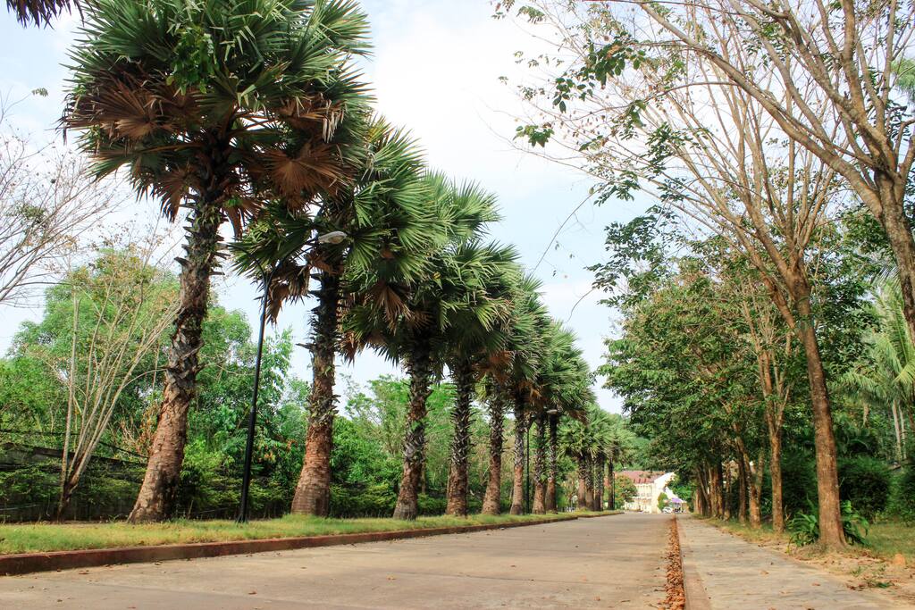 Driveway