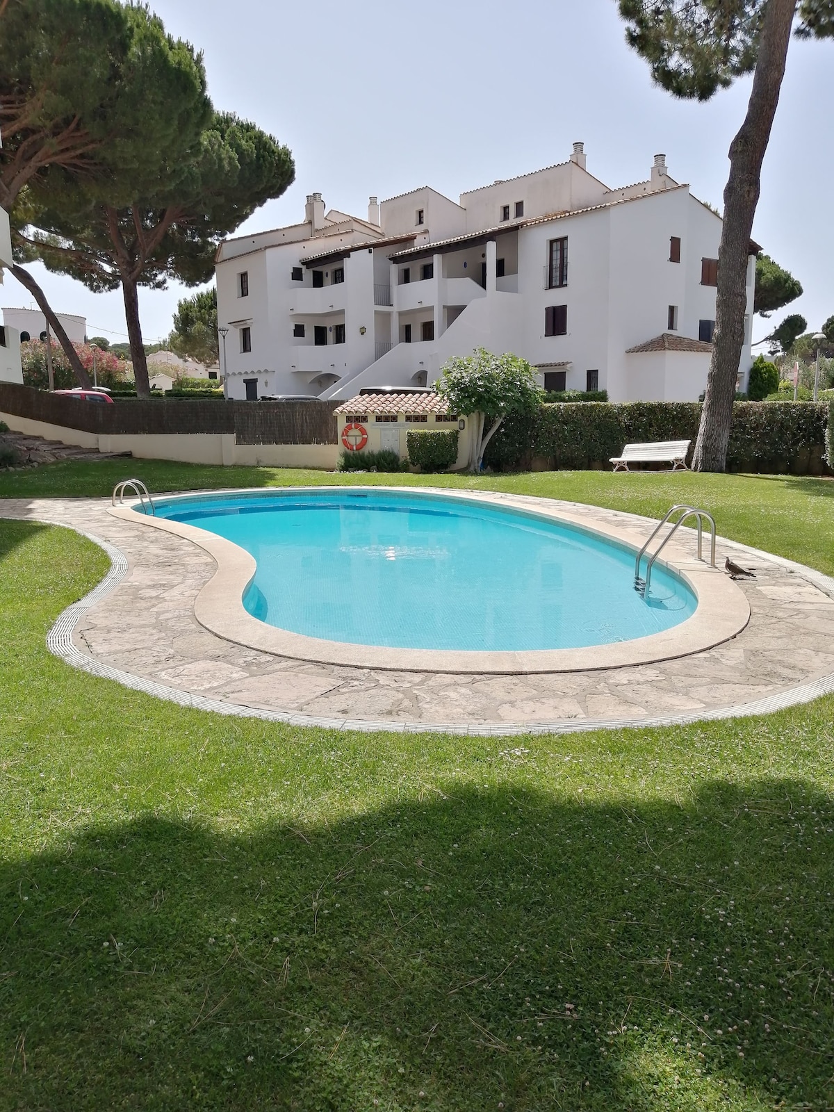 A curved swimming pool is set amidst neatly manicured grass, surrounded by trees. The pool features a shallow entry with steps leading in. In the background, a well-maintained multi-story building is visible, offering a peaceful residential atmosphere.